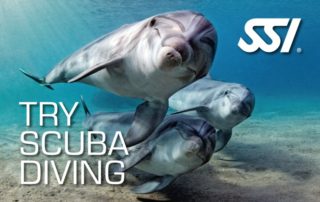 Try Scuba Diving, Schnuppertauchen