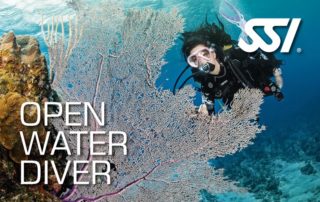 Open Water Diver, Anfängerkurs