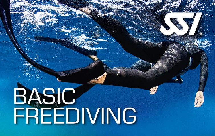 Basic Freediving