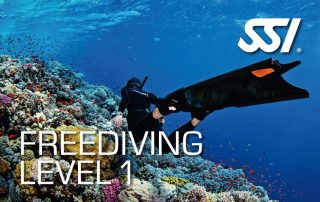 Freediving Level 1