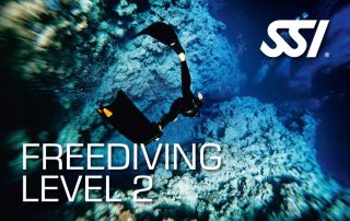 Freediving Level 2