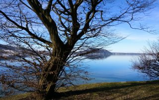 Tauchkurse im Herbst