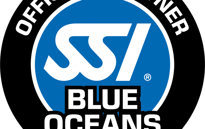 Blue Oceans Center