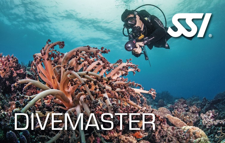 DIVEMASTER