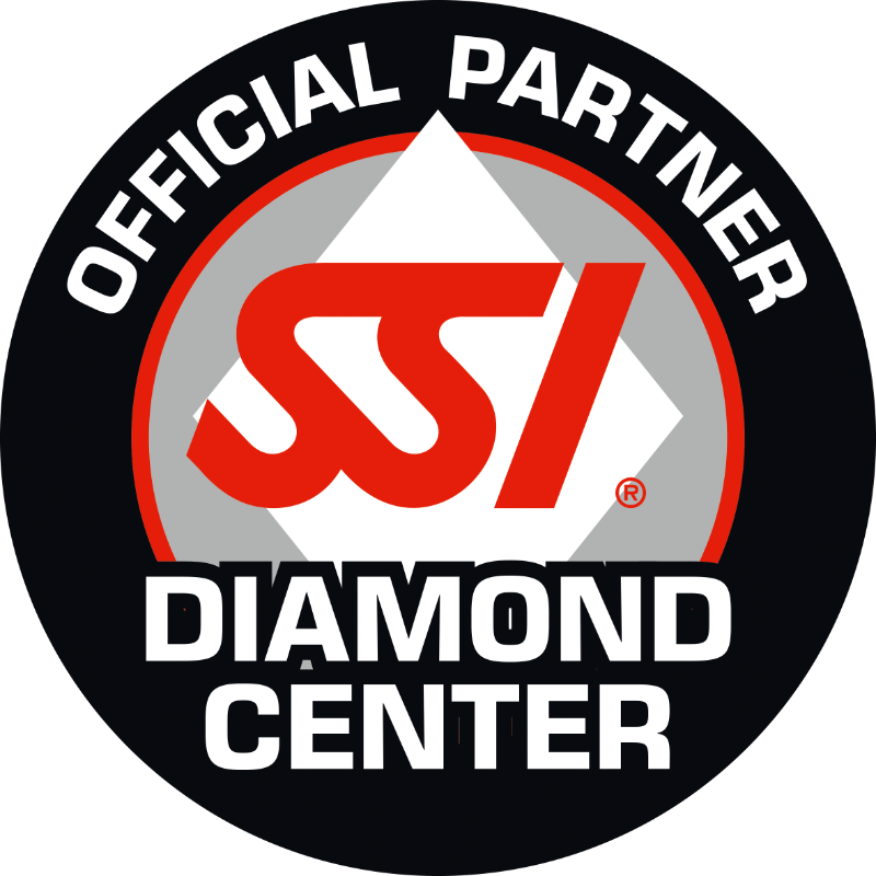 ssi diamond center