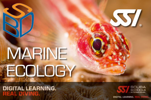 marine ecology