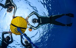 freediving event 2022